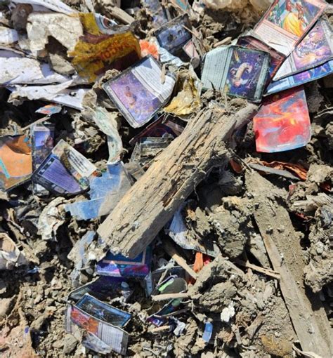 Uncovering Lost Treasures: The Magic Cards Landfill Expedition